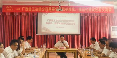 公司党委召开下层党组织标准化、规范化建设履历交流会