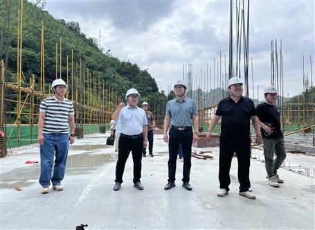 韦克雪到多个项目开展2025年二季度清静生产质量综合大检查
